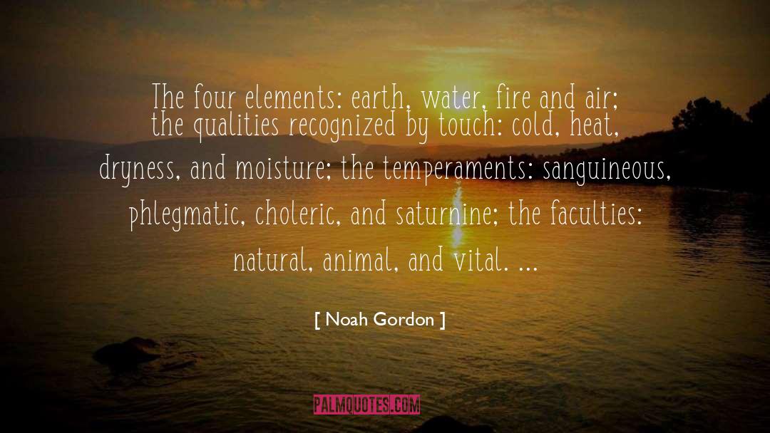 Four Elements quotes by Noah Gordon