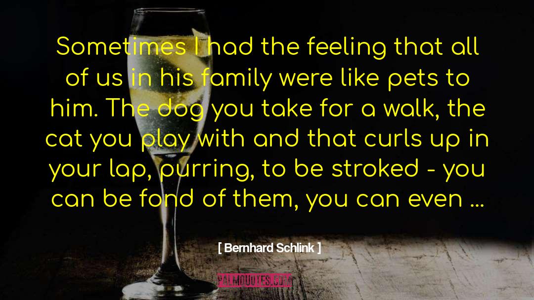 Four In A Family quotes by Bernhard Schlink