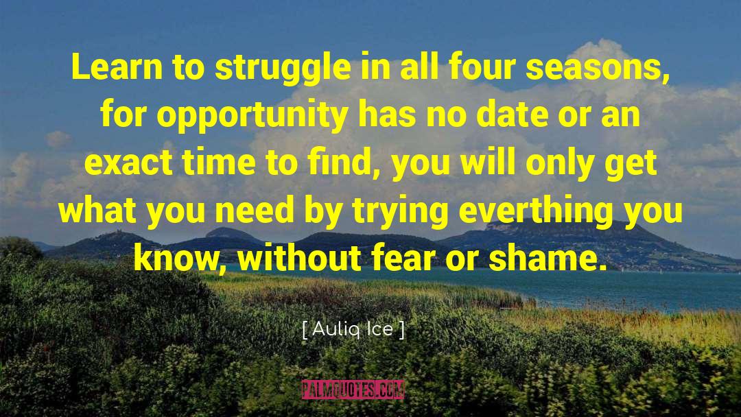 Four Seasons quotes by Auliq Ice