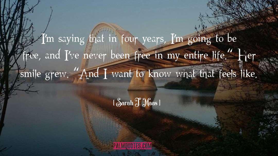 Four Years quotes by Sarah J. Maas