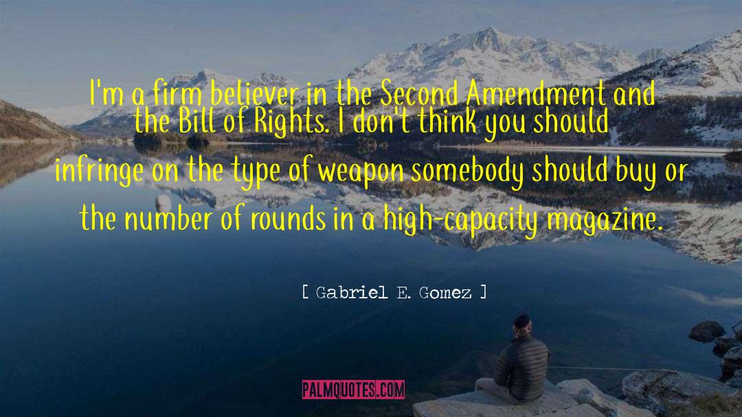 Fourth Amendment quotes by Gabriel E. Gomez