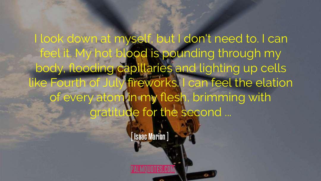 Fourth Of July quotes by Isaac Marion