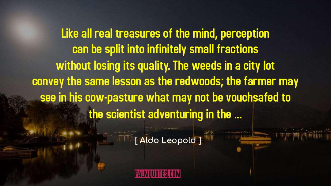 Fourths Fractions quotes by Aldo Leopold