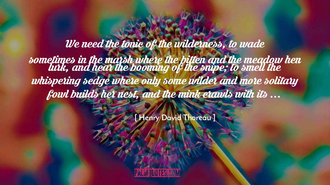 Fowl quotes by Henry David Thoreau