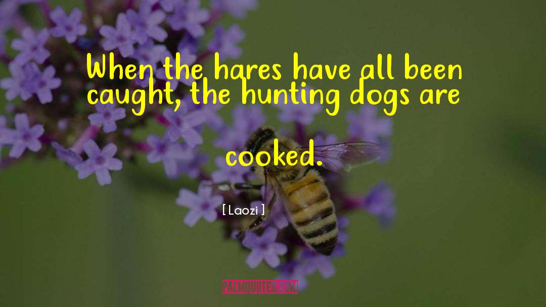 Fox Hunting quotes by Laozi