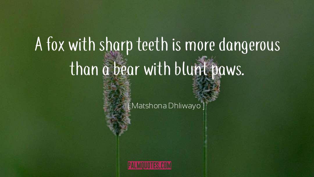 Fox quotes by Matshona Dhliwayo