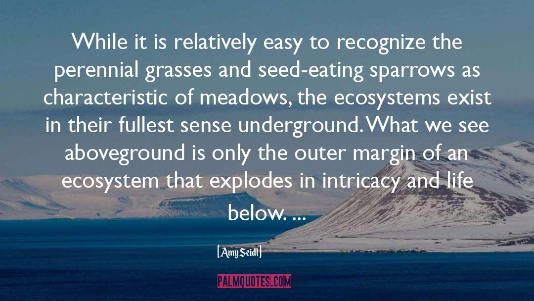 Foz Meadows quotes by Amy Seidl