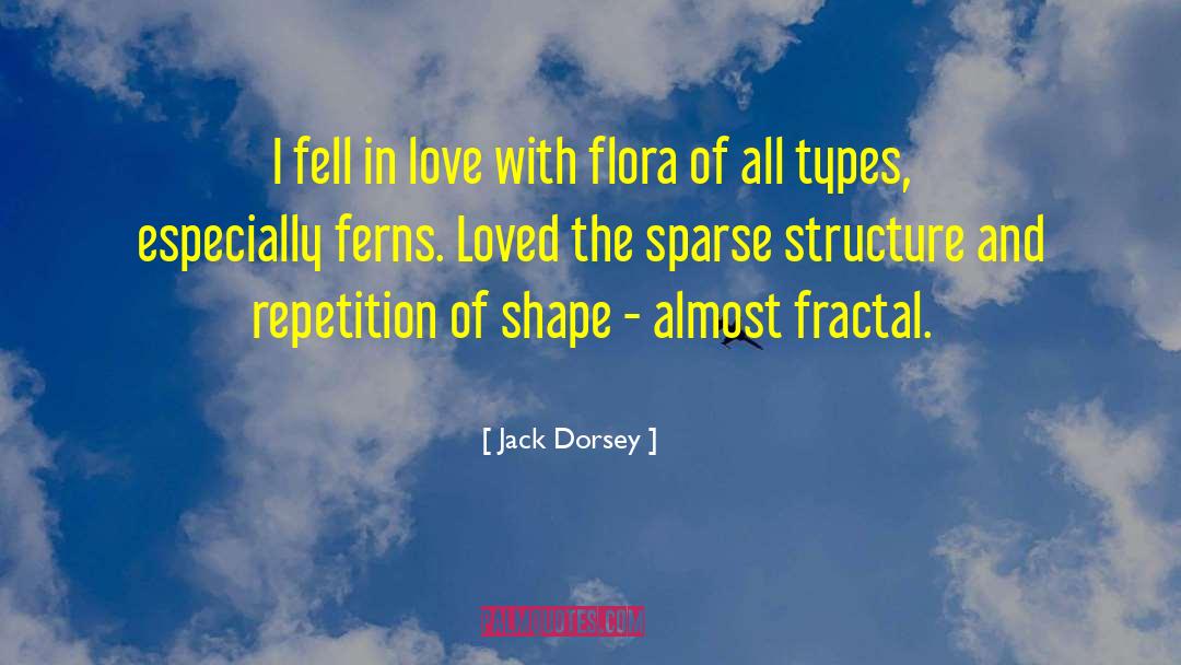 Fractal quotes by Jack Dorsey