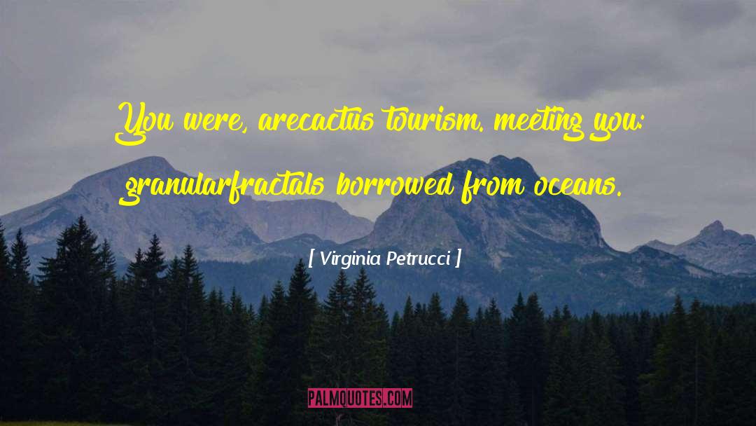 Fractals quotes by Virginia Petrucci