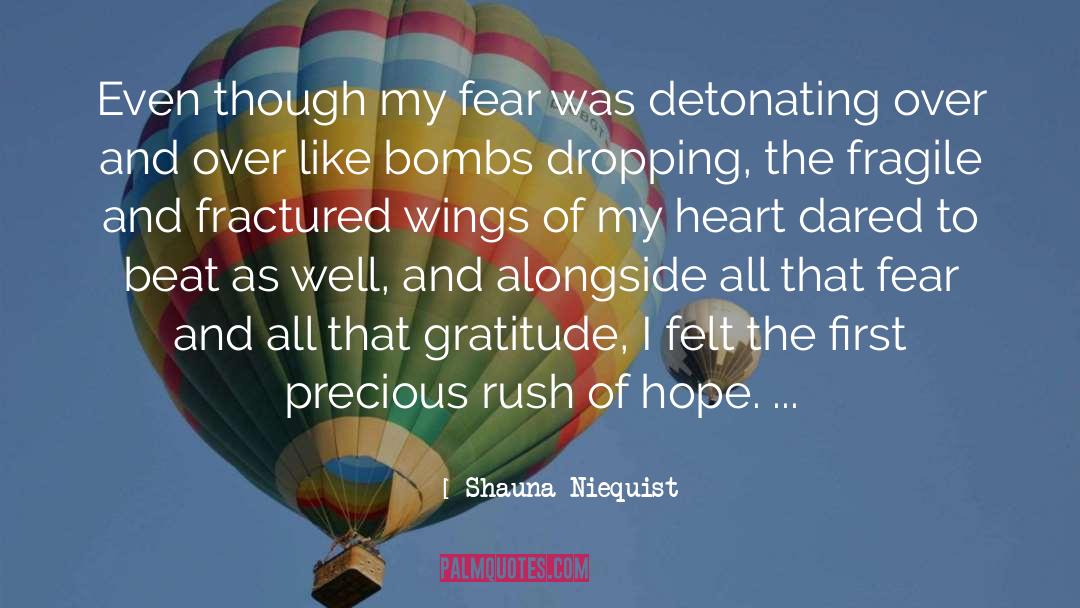 Fractured Folktale quotes by Shauna Niequist