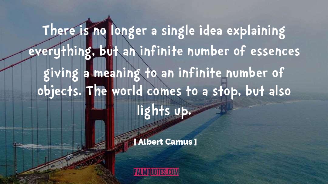 Fractured Idea quotes by Albert Camus