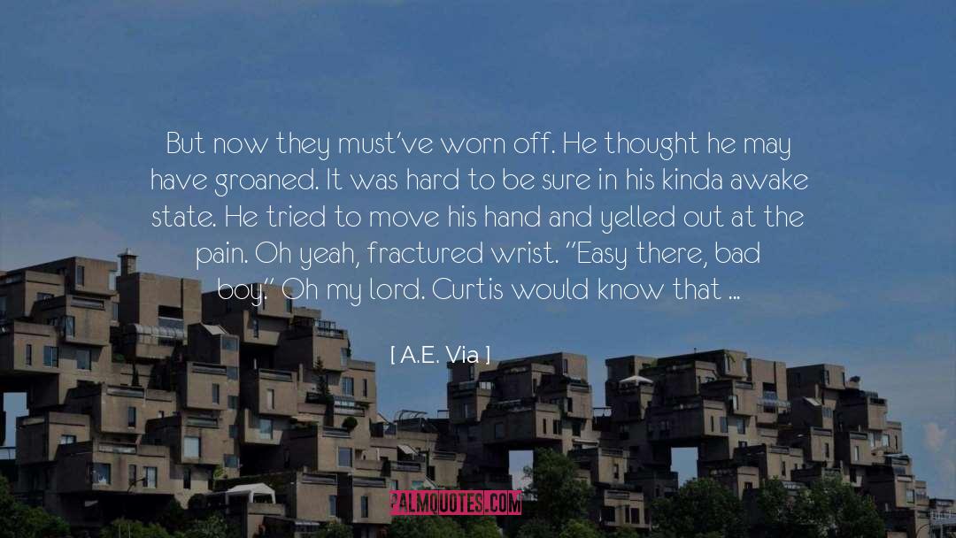 Fractured Retelling quotes by A.E. Via