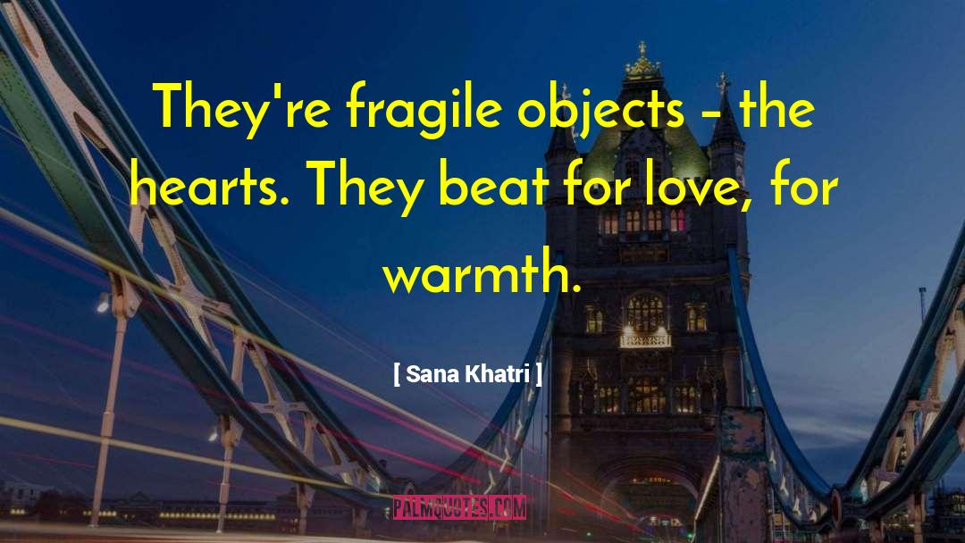 Fragile Boundaries quotes by Sana Khatri