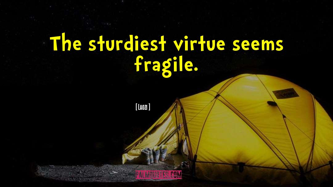 Fragile Threads quotes by Laozi