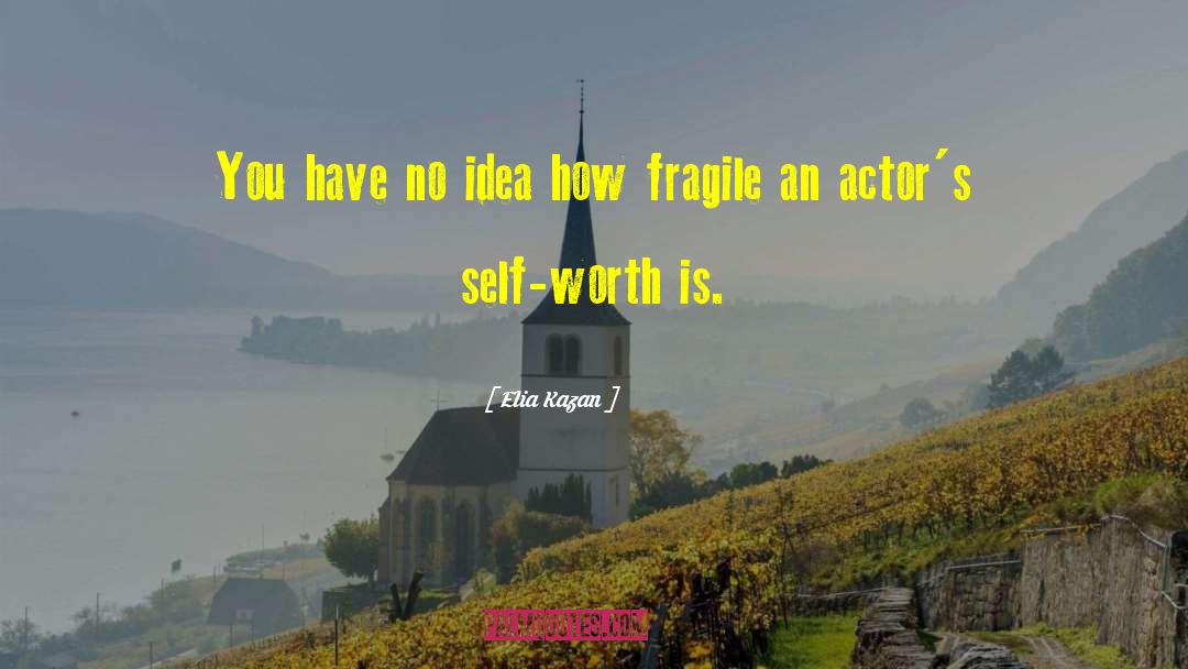 Fragile Threads quotes by Elia Kazan