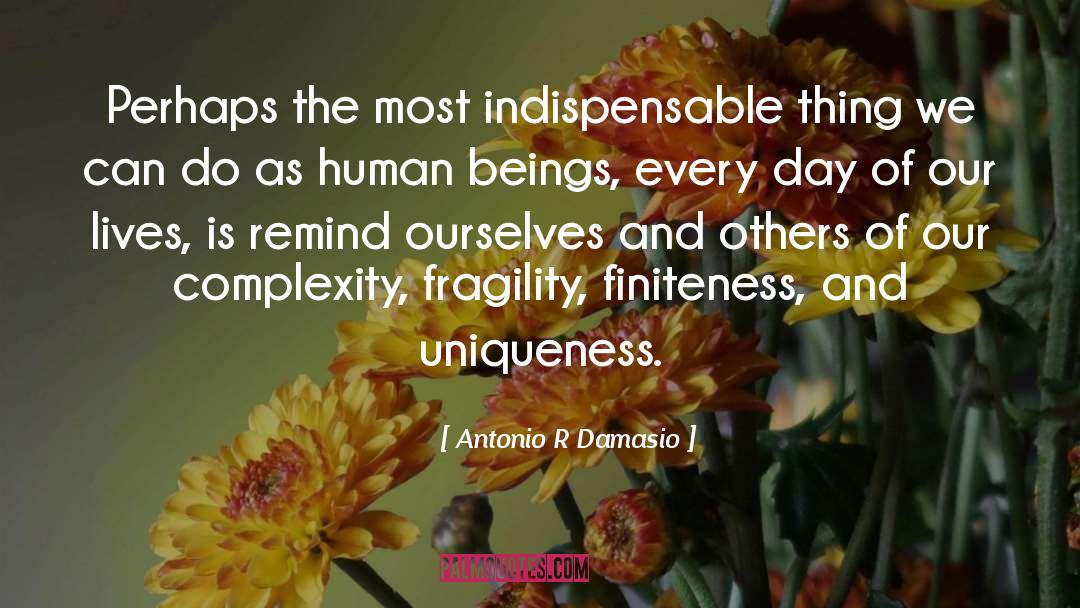 Fragility quotes by Antonio R Damasio