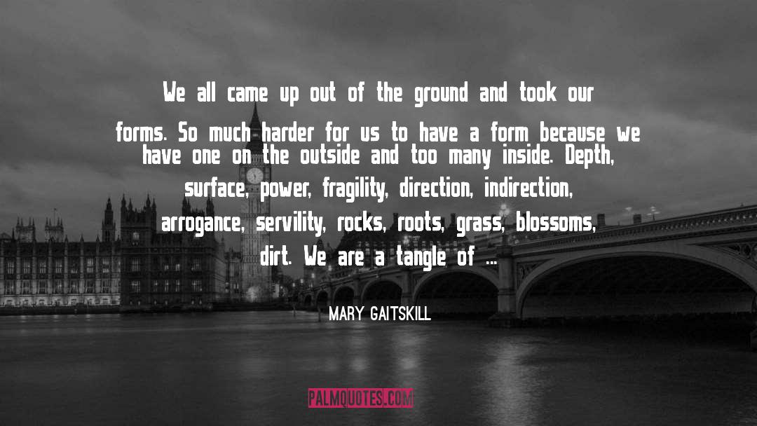 Fragility quotes by Mary Gaitskill