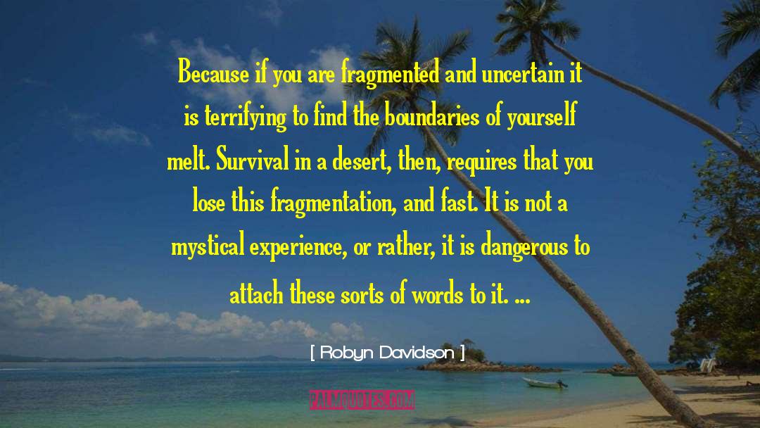 Fragmentation quotes by Robyn Davidson