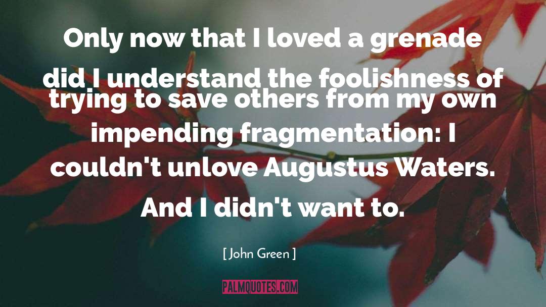 Fragmentation quotes by John Green