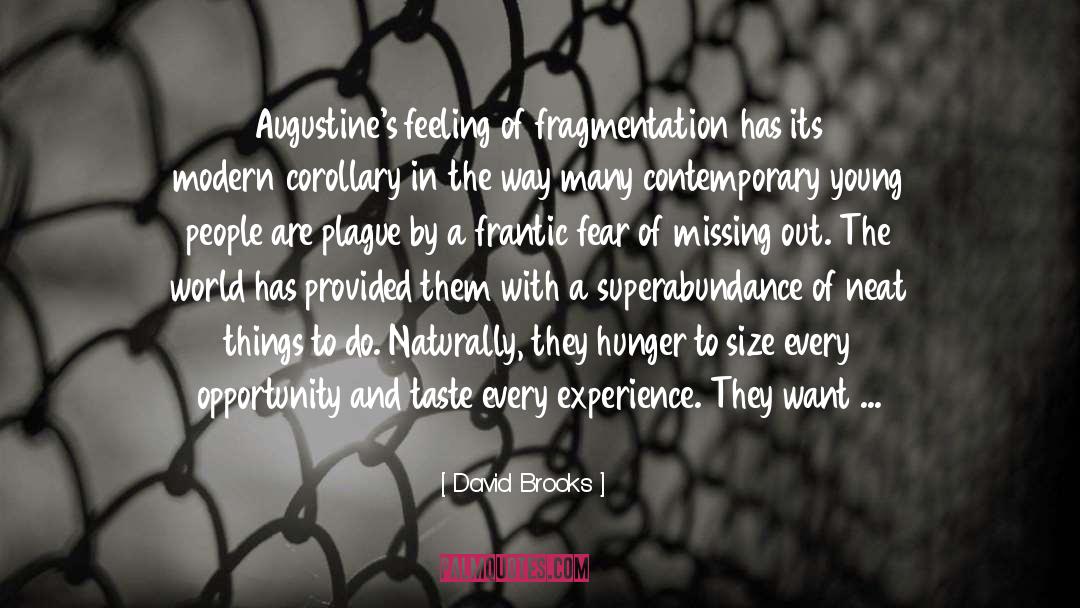 Fragmentation quotes by David Brooks