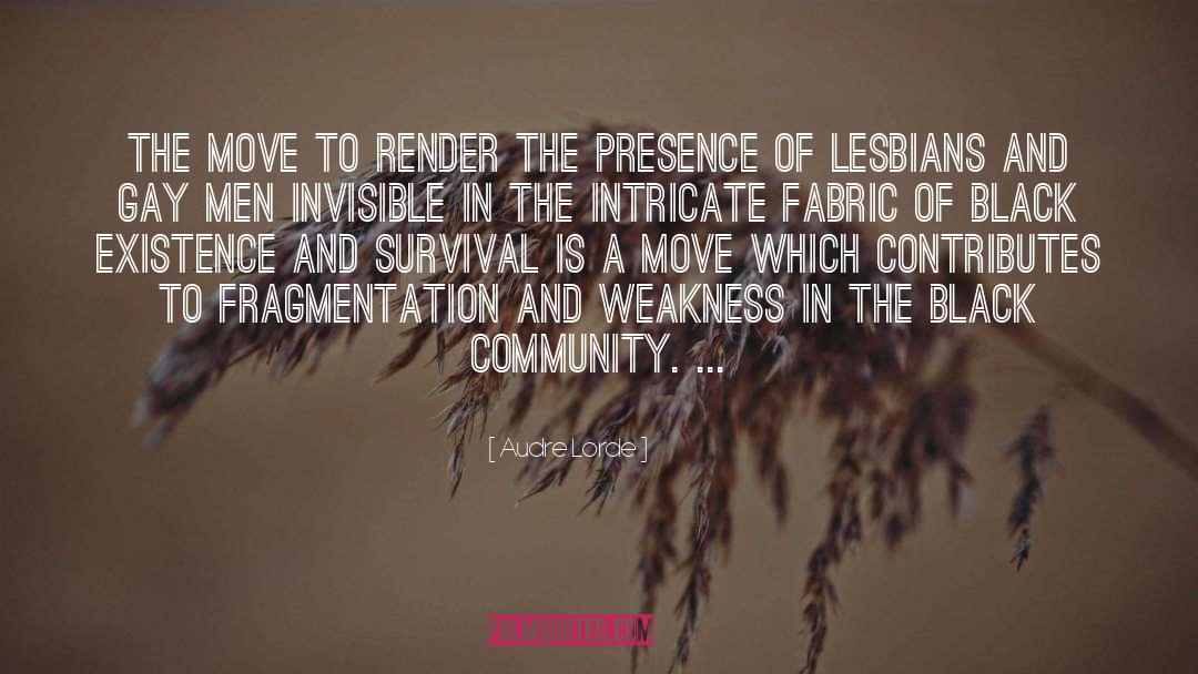 Fragmentation quotes by Audre Lorde