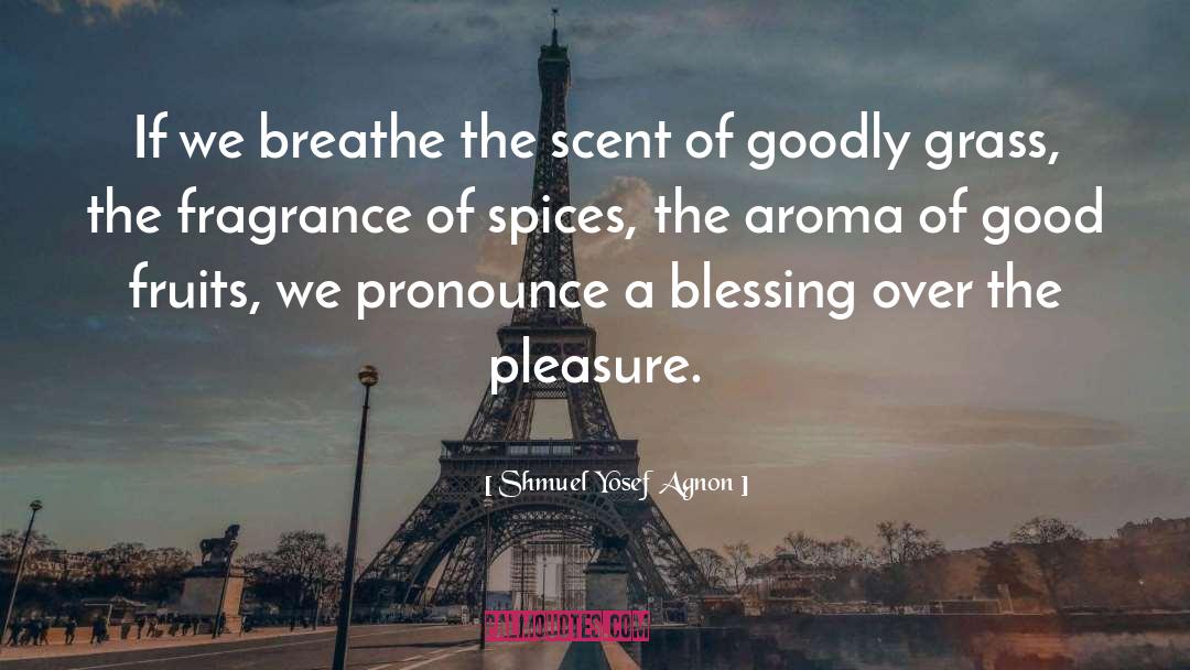 Fragrance quotes by Shmuel Yosef Agnon