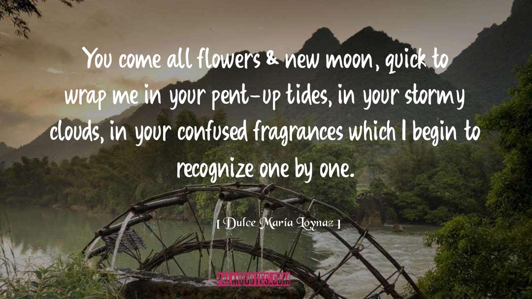 Fragrances quotes by Dulce María Loynaz