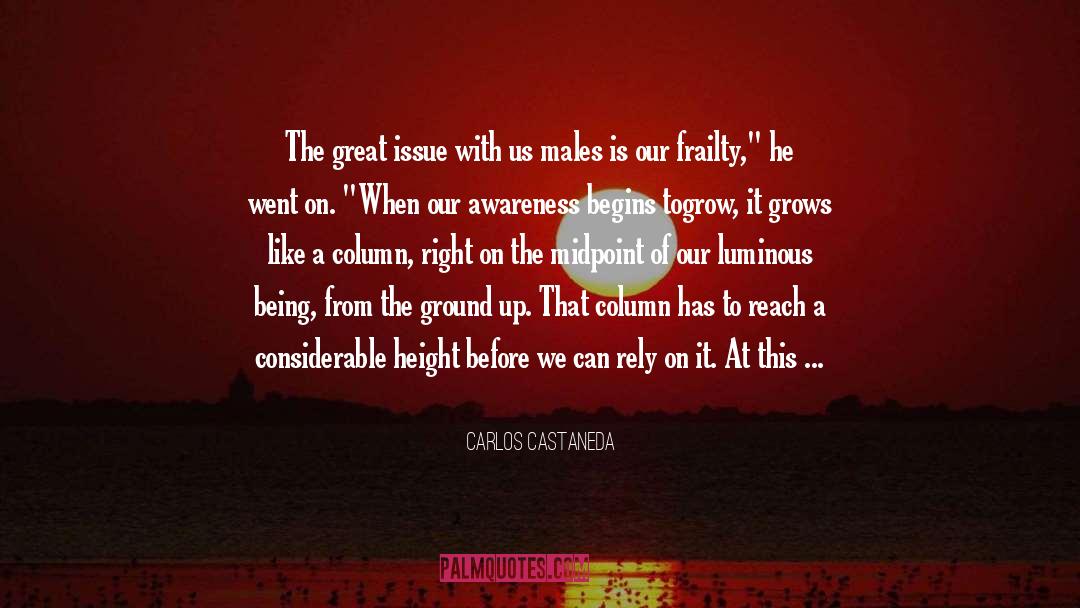 Frailty quotes by Carlos Castaneda