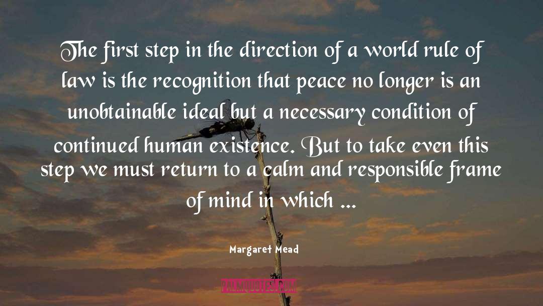 Frame Of Mind quotes by Margaret Mead