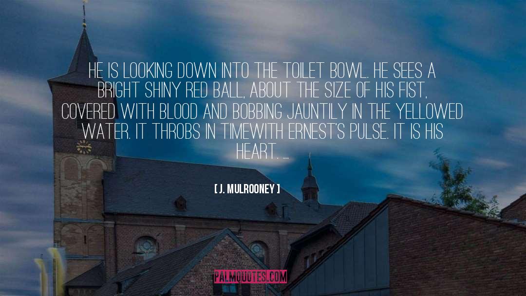 Framed Toilet quotes by J. Mulrooney
