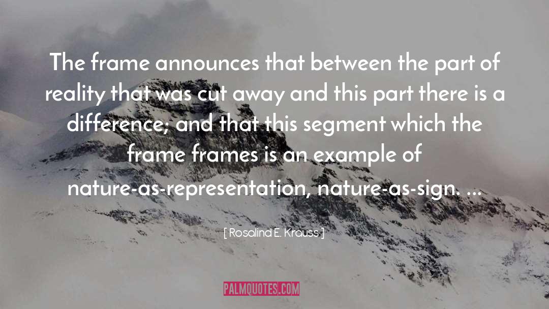 Frames quotes by Rosalind E. Krauss