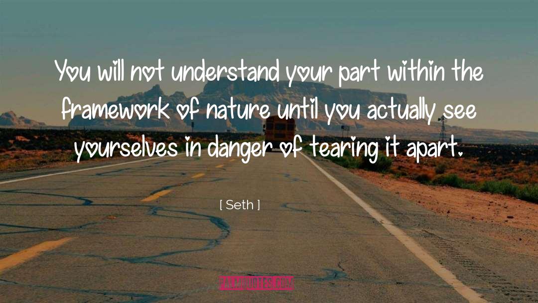 Framework quotes by Seth
