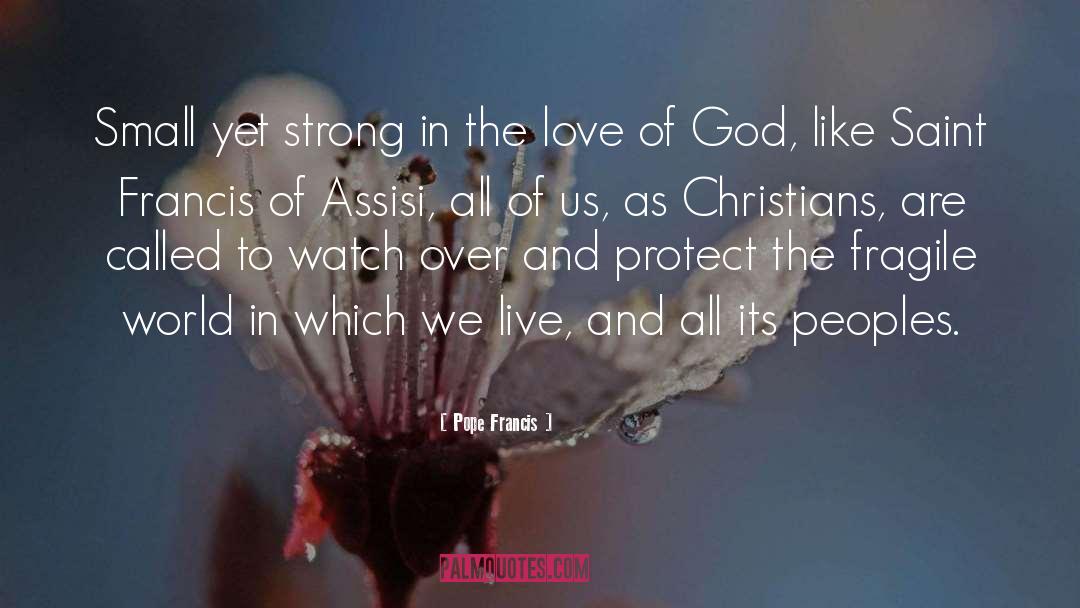 Francis Of Assisi quotes by Pope Francis