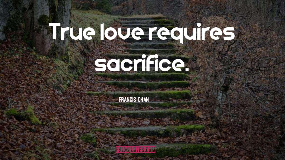 Francis quotes by Francis Chan