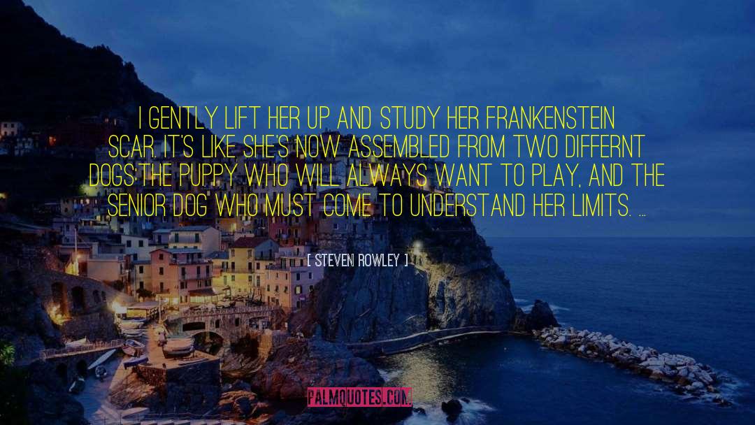 Frankenstein quotes by Steven Rowley
