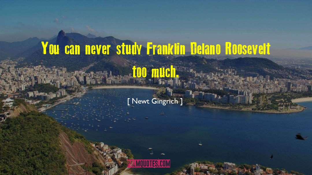 Franklin Delano Roosevelt quotes by Newt Gingrich