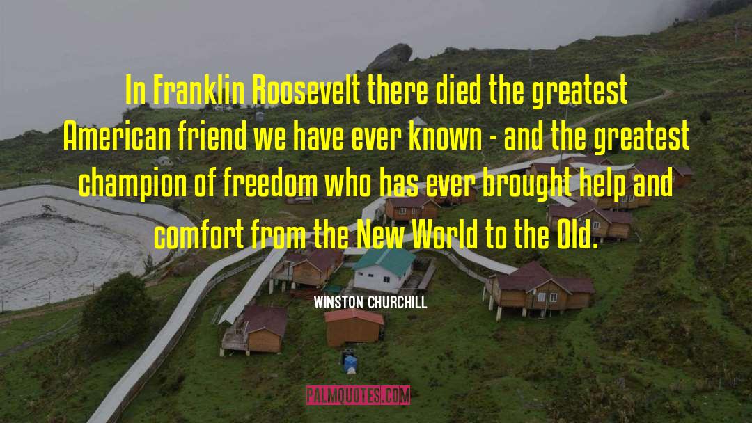 Franklin Roosevelt quotes by Winston Churchill