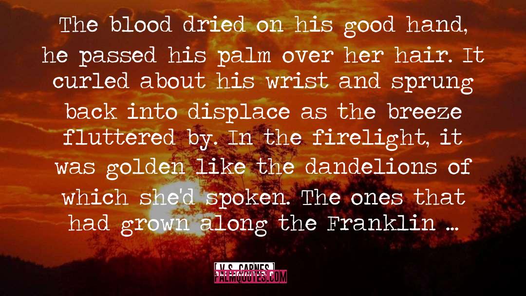 Franklin S Tale quotes by V.S. Carnes