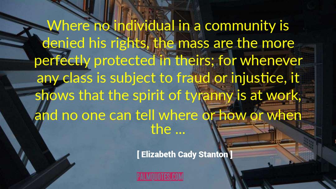 Fraud quotes by Elizabeth Cady Stanton