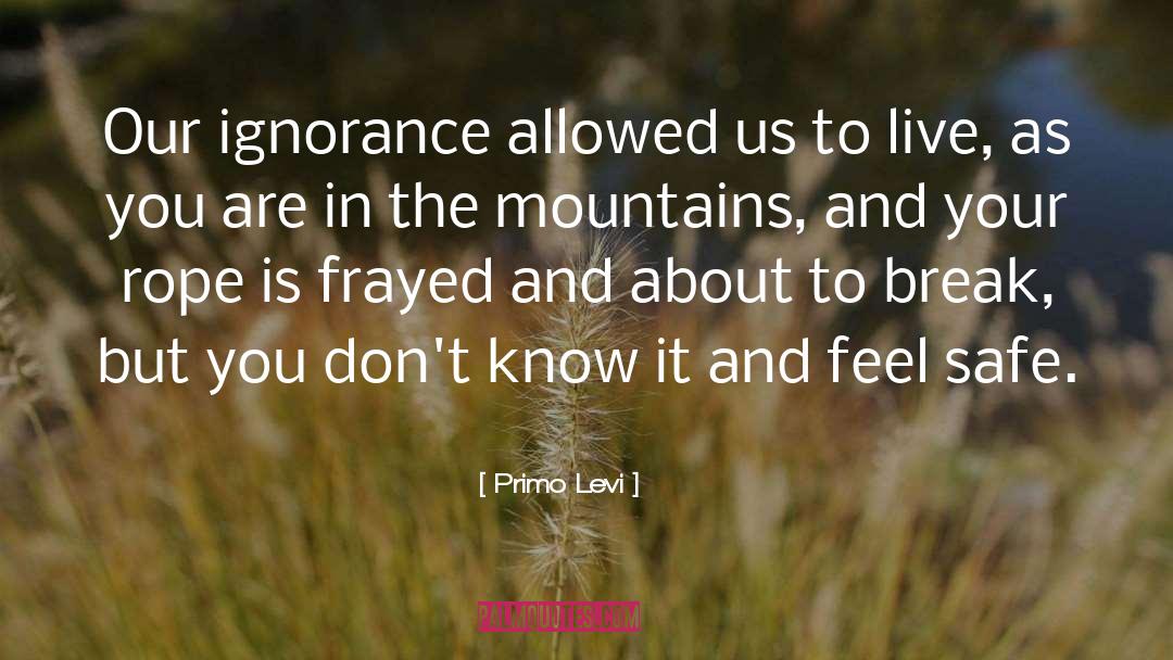 Frayed quotes by Primo Levi