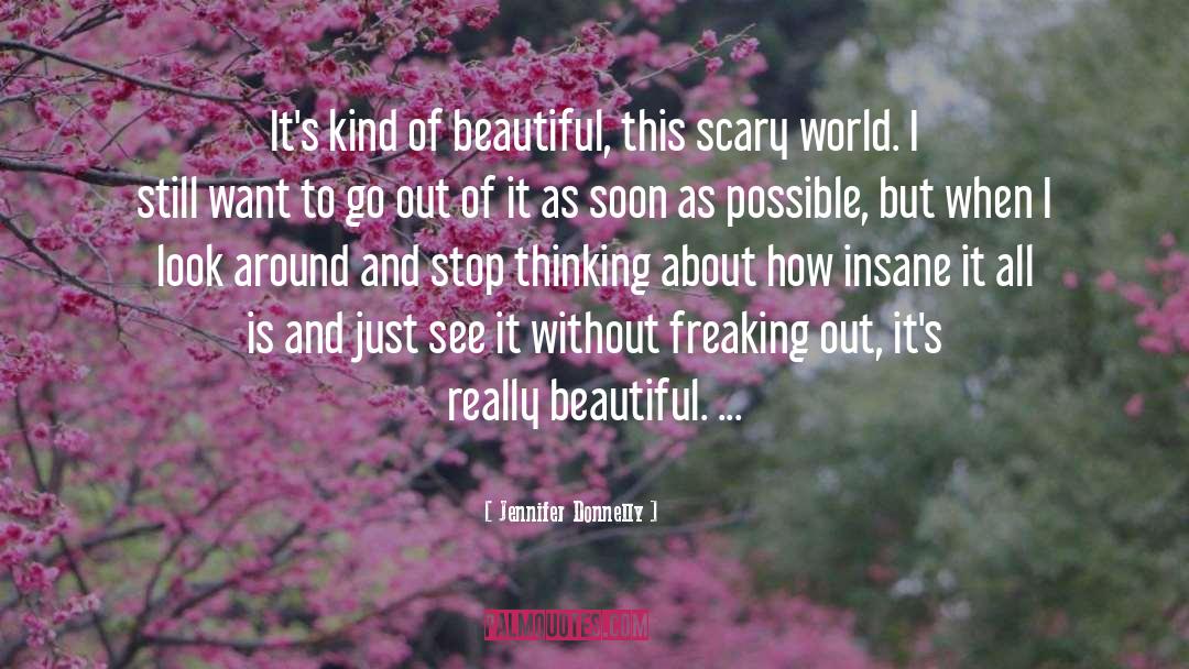 Freaking Out quotes by Jennifer Donnelly