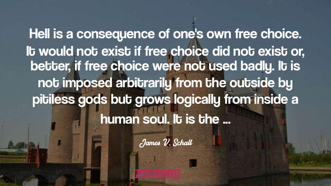 Free Choice quotes by James V. Schall