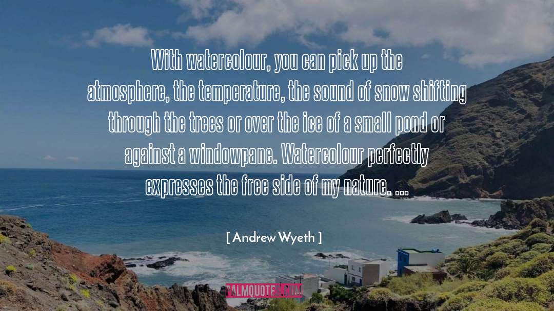 Free Diving quotes by Andrew Wyeth