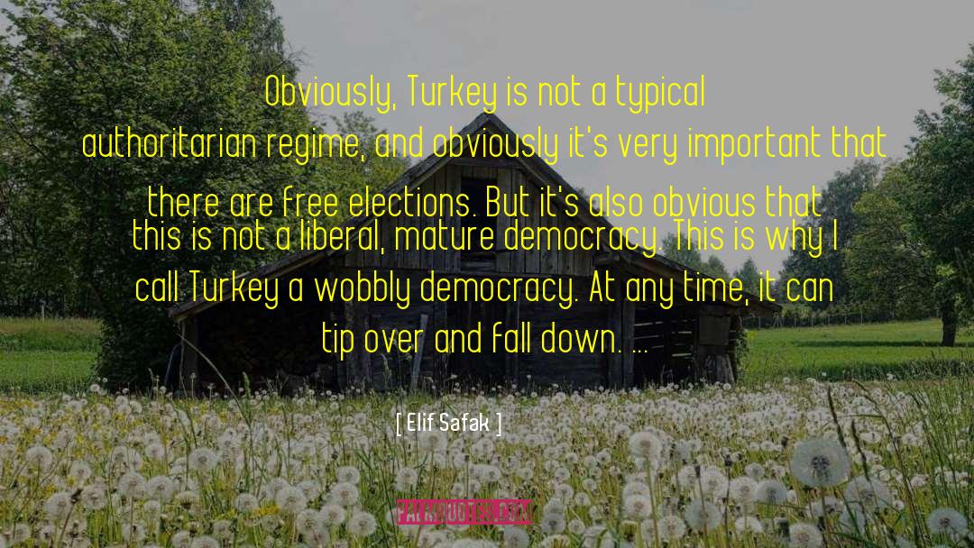 Free Elections quotes by Elif Safak