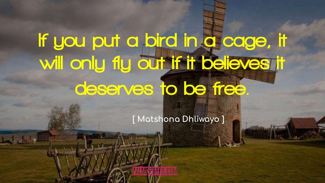 Free Elections quotes by Matshona Dhliwayo