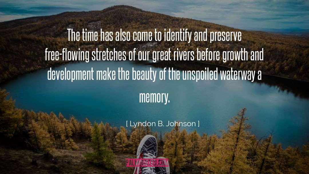 Free Flowing quotes by Lyndon B. Johnson