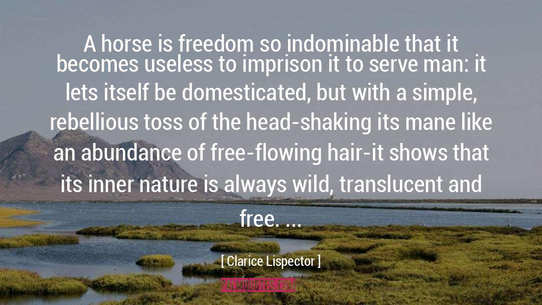 Free Flowing quotes by Clarice Lispector