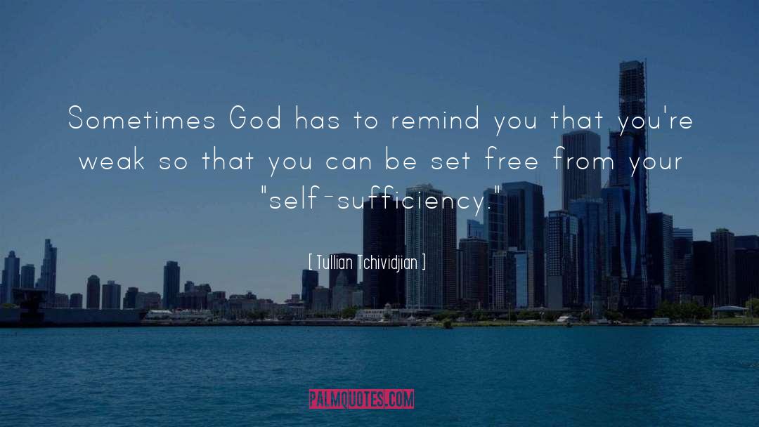 Free From Faults quotes by Tullian Tchividjian