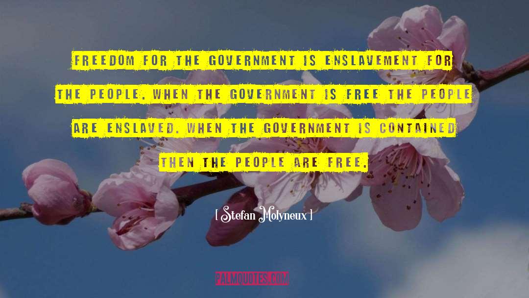 Free Government quotes by Stefan Molyneux