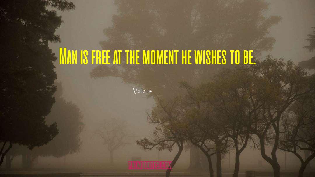 Free Instagram Followers App quotes by Voltaire